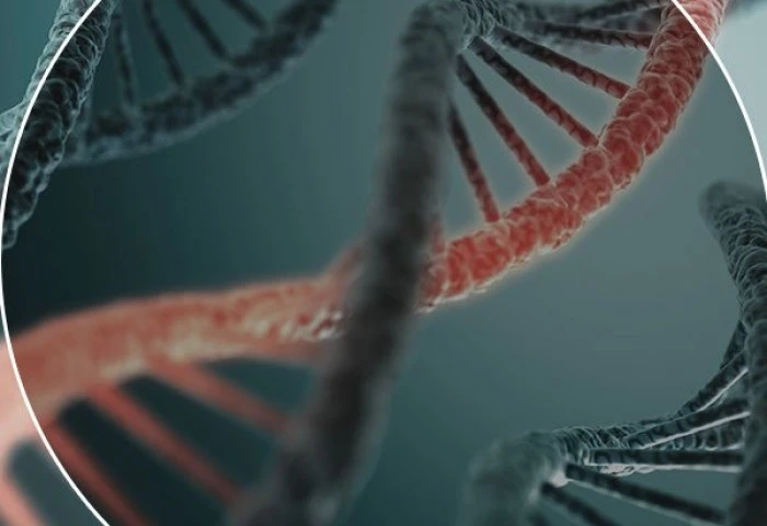A calvície está no DNA?